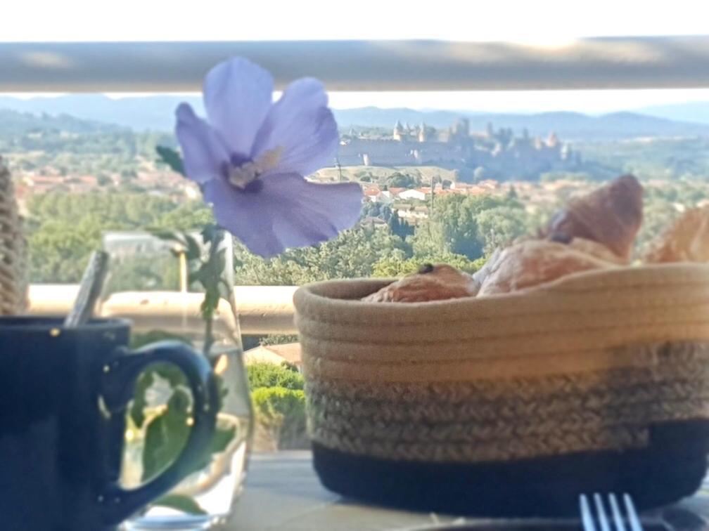 Panorama Suite & Spa 카르카손 외부 사진